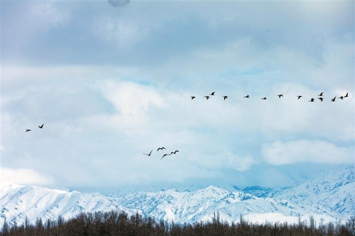 中央生态环境保护督察信访件陆续转交兵团各师市立行立改见成效