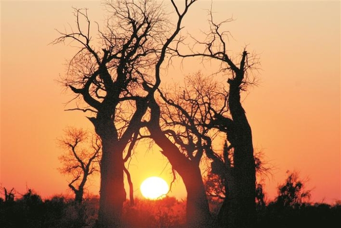 金秋，来兵团赴一场胡杨之约