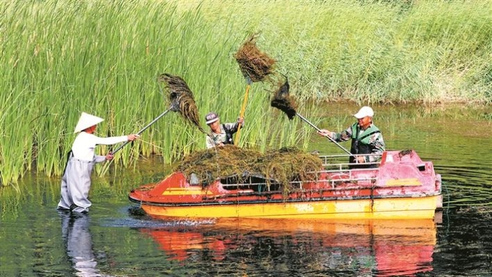 美丽兵团“长”啥样 ——《关于全面推进美丽兵团建设的实施意见》解读