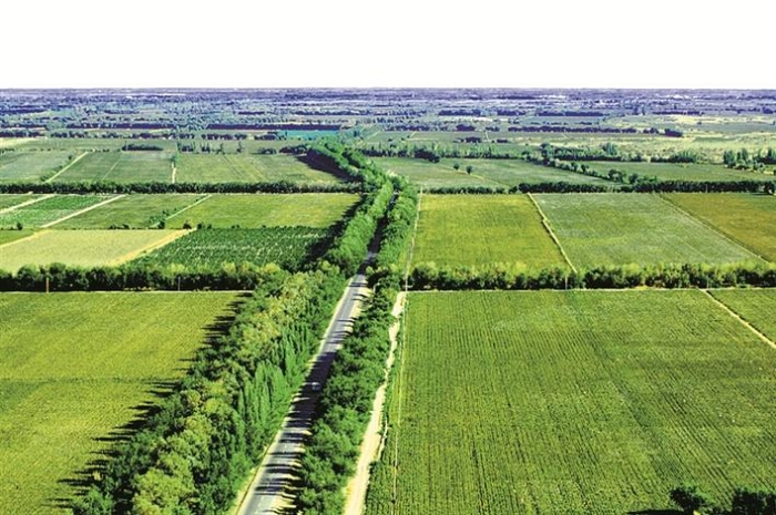 美丽兵团“长”啥样 ——《关于全面推进美丽兵团建设的实施意见》解读