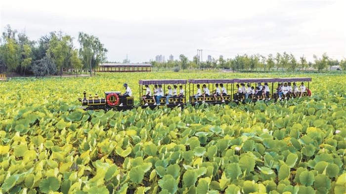 美丽兵团“长”啥样 ——《关于全面推进美丽兵团建设的实施意见》解读
