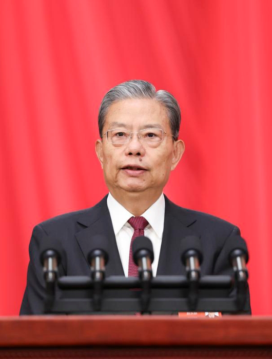 十四届全国人大三次会议举行第二次全体会议 习近平等出席