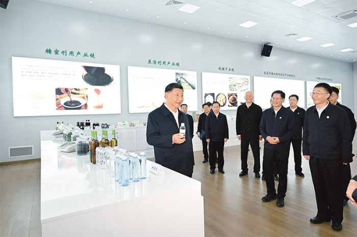 习近平：坚持和落实“两个毫不动摇”